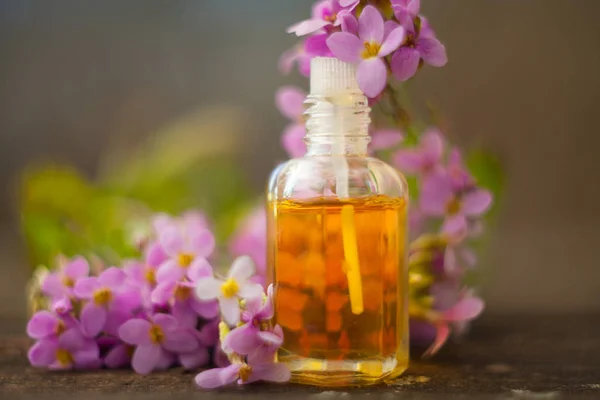Эфирное масло Арабис цветок на столе в красивой бутылке — стоковое фото