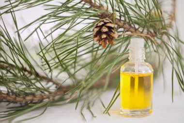 Güzel cam masada çam özü