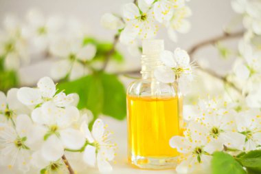 Güzel Cam masaya çiçek özü