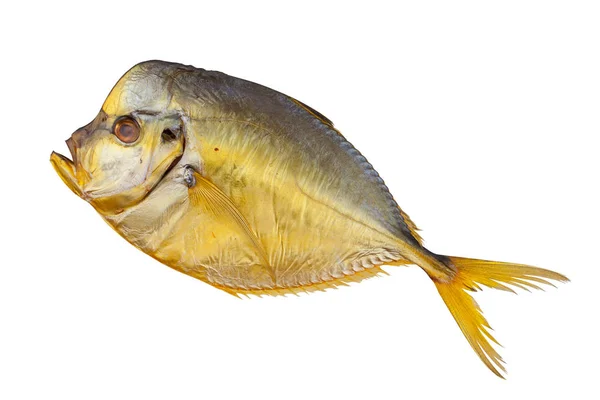 Hot smoked Moonfish fish  on white — Stock Photo, Image