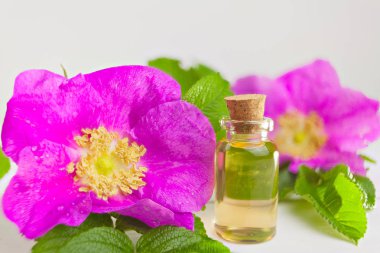 Güzel Cam masaya çiçek özü