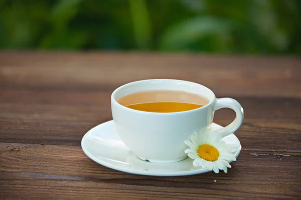 Taza de porcelana con té verde en la mesa — Foto de Stock