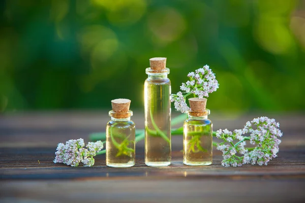 Esencia de flores en la mesa en un hermoso frasco de vidrio — Foto de Stock