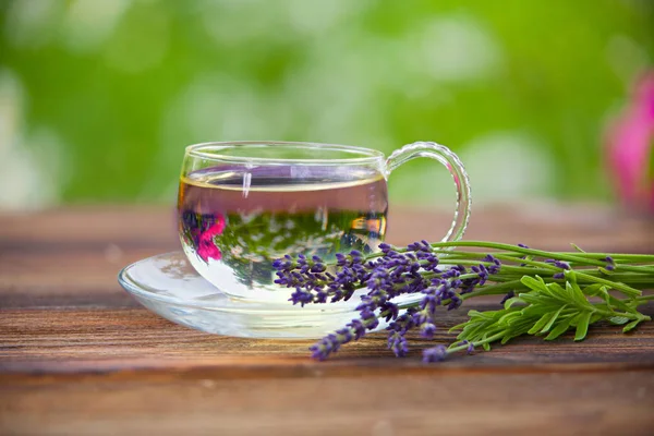 Té verde en una hermosa taza — Foto de Stock