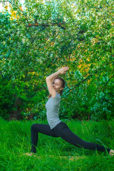 Bela mulher fazendo ioga ao ar livre na grama verde — Fotografia de Stock