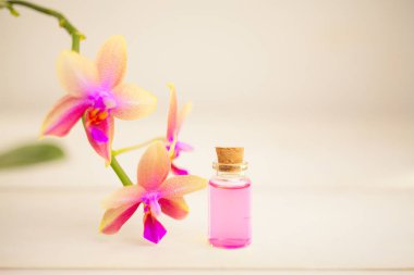 Güzel Cam masaya orkide çiçek özü