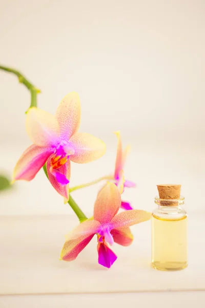 Esencja storczyków kwiaty na stole w piękny słoik — Zdjęcie stockowe
