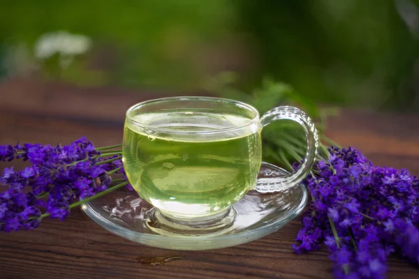 Zöld gyönyörű csésze levendula tea — Stock Fotó