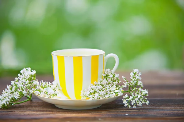 Taza de porcelana con té verde en la mesa — Foto de Stock