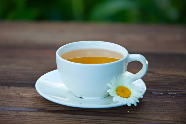 Taza de porcelana con té verde en la mesa — Foto de Stock