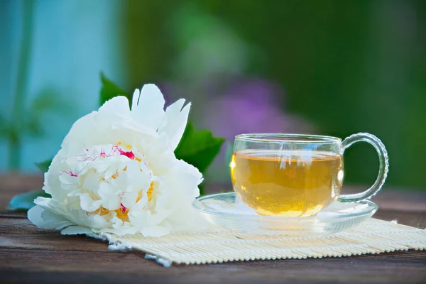 Copa de cristal con té verde en la mesa — Foto de Stock