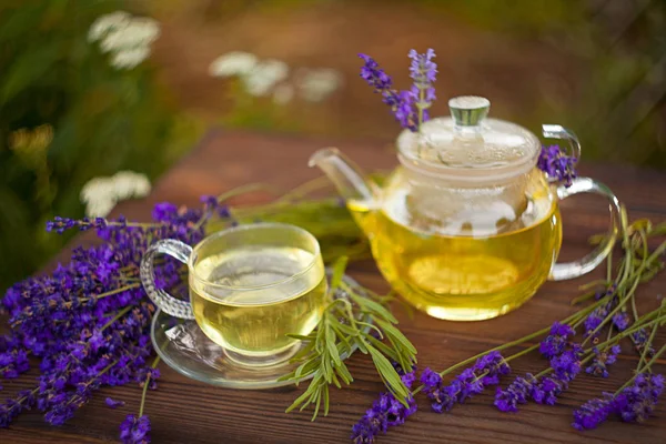 Té verde en una hermosa taza — Foto de Stock