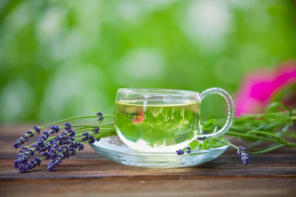 Zöld tea gyönyörű csészében. — Stock Fotó