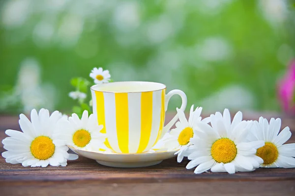 Taza de porcelana con té verde en la mesa — Foto de Stock