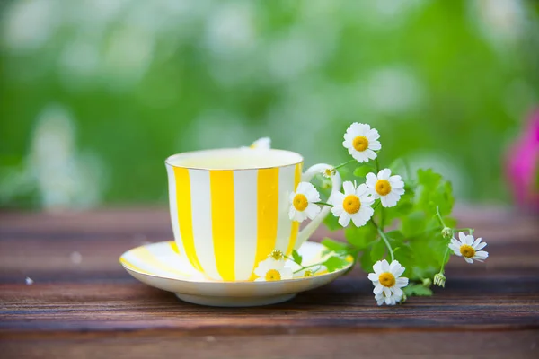 Taza de porcelana con té verde en la mesa — Foto de Stock