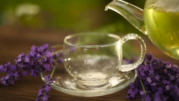 Té de lavanda en una hermosa taza de cristal — Vídeo de stock