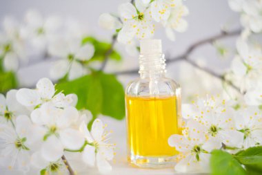 Güzel Cam masaya çiçek özü