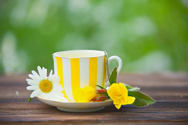 Xícara de porcelana com chá verde na mesa — Fotografia de Stock