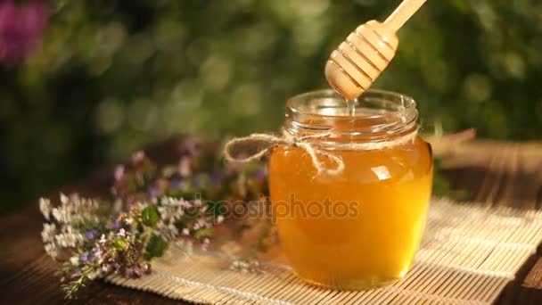 Delicious honey in  jar on table — Stock Video