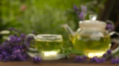 güzel bir fincan yeşil çay