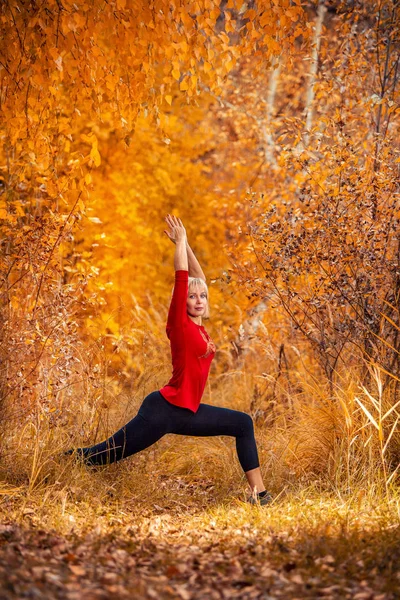 Bella donna che fa yoga all'aperto in autunno — Foto Stock