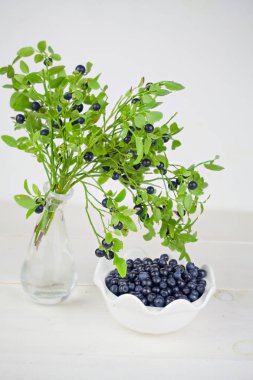 Beyaz arka plan yaz yaban mersini