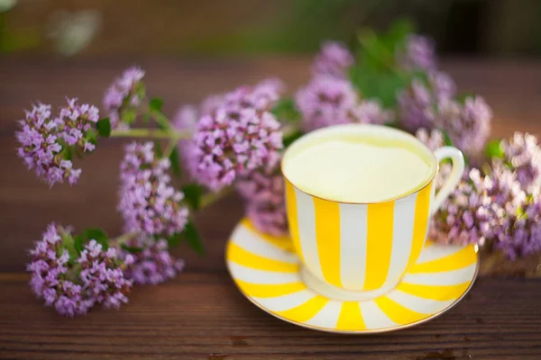 Delicioso té de orégano en un hermoso tazón de vidrio en la mesa — Foto de Stock