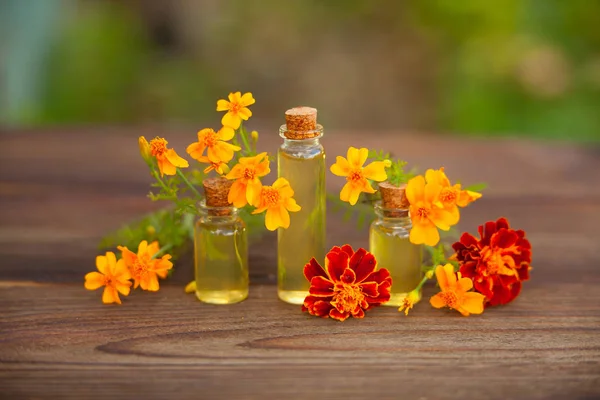 Kadife çiçeği esans masada güzel şişe — Stok fotoğraf
