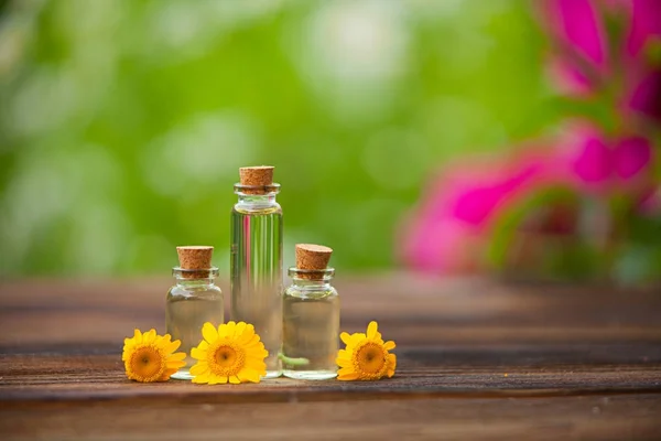 Esencia de flores de lavanda en la mesa en una hermosa botella de vidrio — Foto de Stock