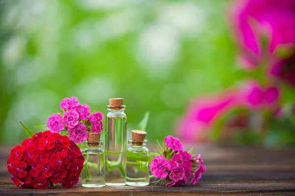 Esencia de flores en la mesa en un hermoso frasco de vidrio — Foto de Stock