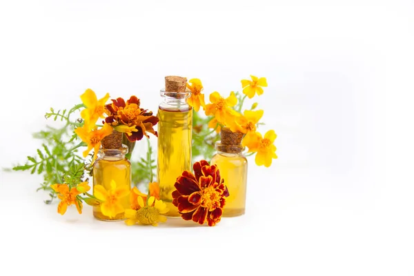 Эфирное масло marigold в красивой бутылке на белом фоне — стоковое фото