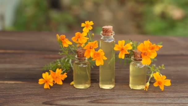 Olio essenziale di calendula in bottiglia sul tavolo — Video Stock