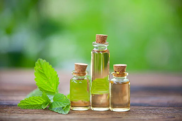 Catmint etherische olie in mooie fles op tafel — Stockfoto