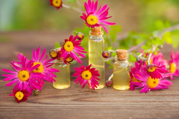 Aceite esencial de crisantemo en hermosa botella en la mesa — Foto de Stock