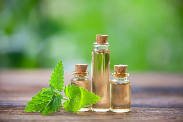 Catmint essential oil in  beautiful bottle on table — Stock Photo, Image