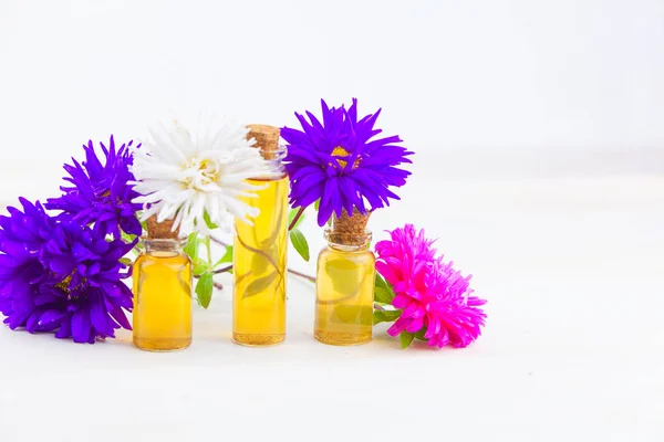 Aceite esencial de aster en hermosa botella sobre fondo blanco — Foto de Stock