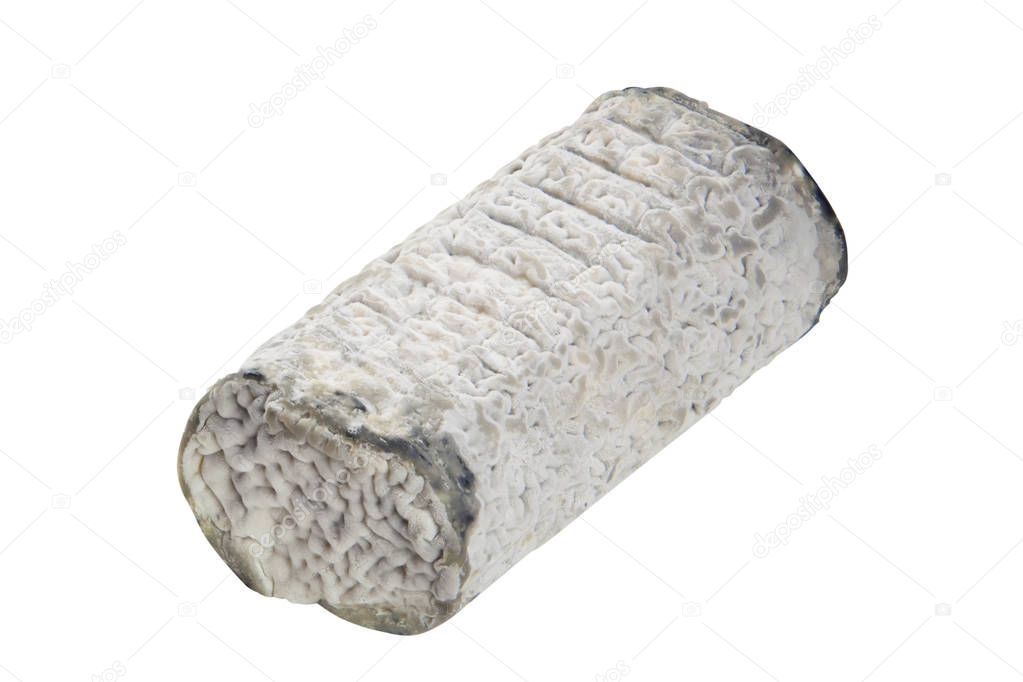 Fresh brie cheese with white mold on a white background