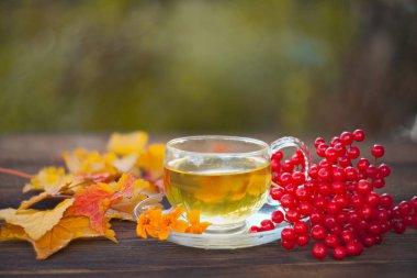 Güzel fincanda yeşil çay