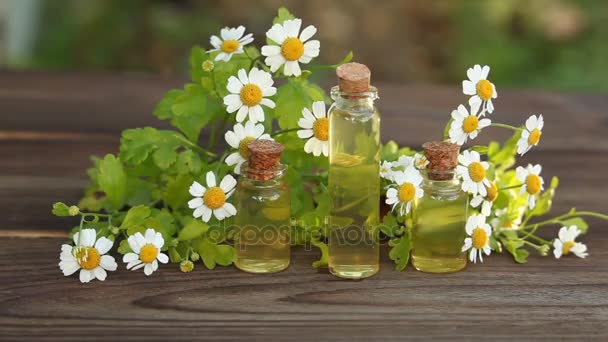 Essence de fleurs sur la table dans une belle bouteille en verre — Video