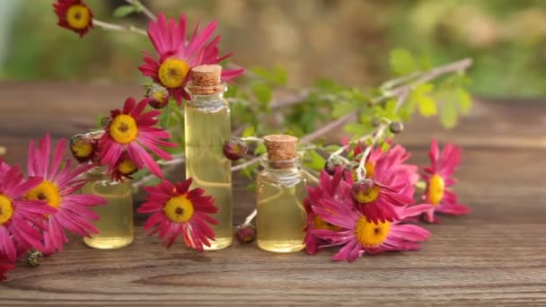 Chryzantéma esenciální olej láhve na stole — Stock video
