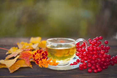 Güzel fincanda yeşil çay