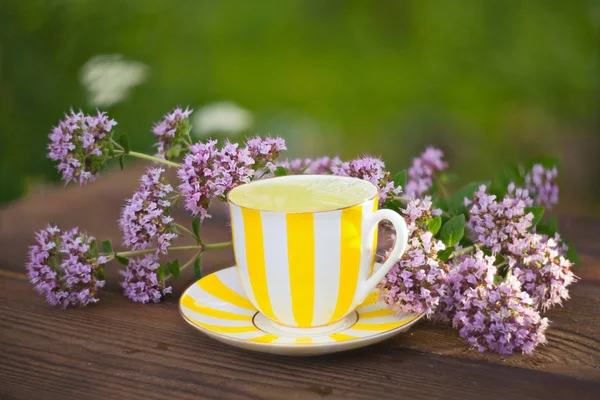 Delicioso té de orégano en un hermoso tazón de vidrio en la mesa — Foto de Stock