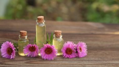 Aster esans masada güzel şişe