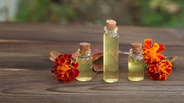 Marigold essential oil in  beautiful bottle on table — Stock Video