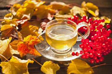 Güzel fincanda yeşil çay