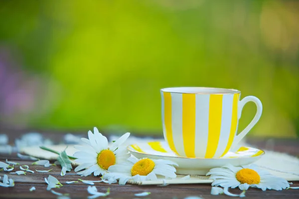 Taza de porcelana con té verde en la mesa — Foto de Stock