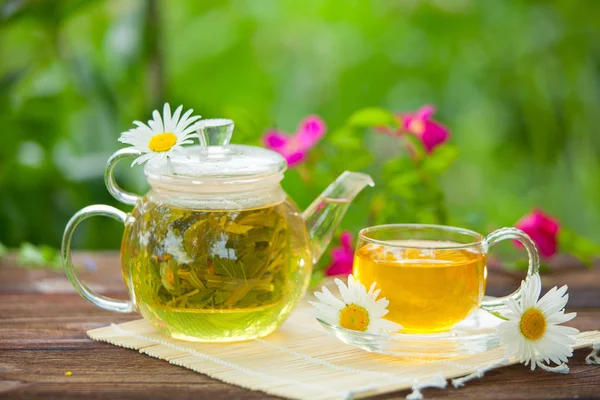 Green tea with chamomile in cup — Stock Photo, Image