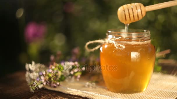 Deliciosa y deliciosa miel en frasco sobre la mesa — Vídeos de Stock