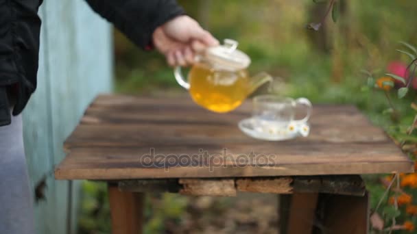 Té verde con manzanilla en taza — Vídeos de Stock