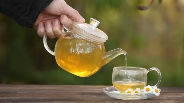 Зеленый чай с ромашкой в чашке — стоковое видео